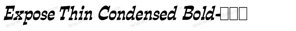 Expose Thin Condensed Bold字体转换